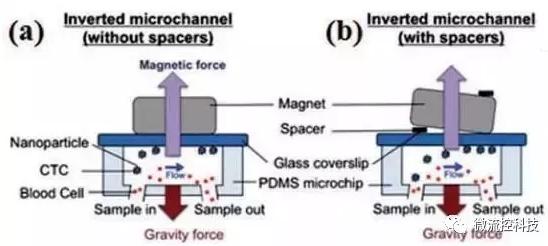 圖3：基于免疫磁珠分離CTCs的微流控系統(tǒng)