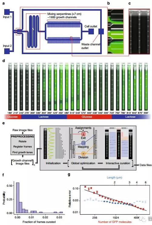 球最小的實驗室, 集成微流控動態(tài)可控監(jiān)測單細胞基因調(diào)控