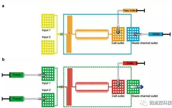 球最小的實驗室, 集成微流控動態(tài)可控監(jiān)測單細胞基因調(diào)控