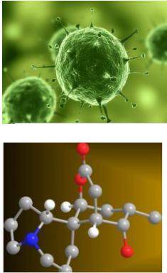 微流控芯片應用領(lǐng)域