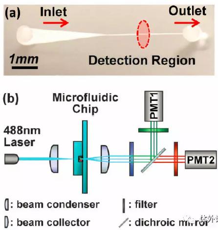 1527476233918169.jpg 微流控芯片|微流控芯片批量加工