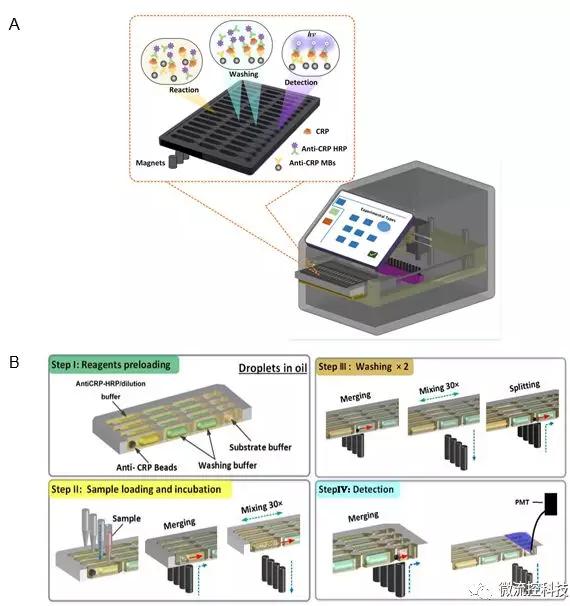 圖2 液滴陣列微流控芯片免疫分析系統(tǒng)。A. 分析儀器結(jié)構(gòu)示意圖;B. 分析原理示意圖。