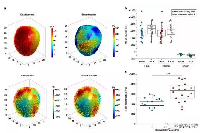 微流控技術(shù)開發(fā)微型彈性球，可用于癌癥診斷