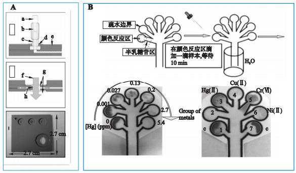 圖1重金屬檢測微流控芯片系統(tǒng) 圖1重金屬檢測微流控芯片系統(tǒng)
