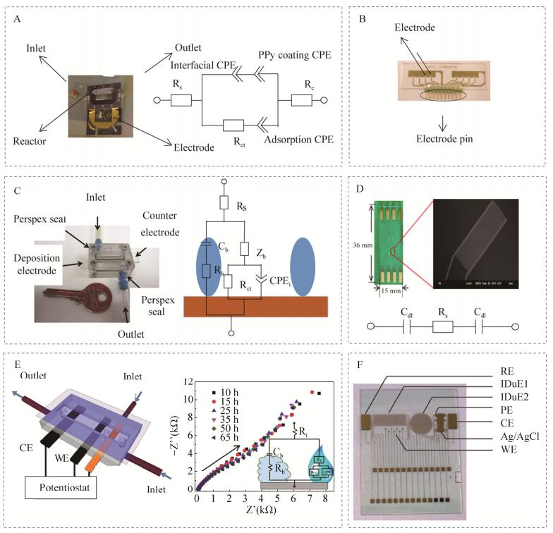 圖3微流控芯片電化學(xué)阻抗檢測生物被膜實(shí)例 圖3微流控芯片電化學(xué)阻抗檢測生物被膜實(shí)例