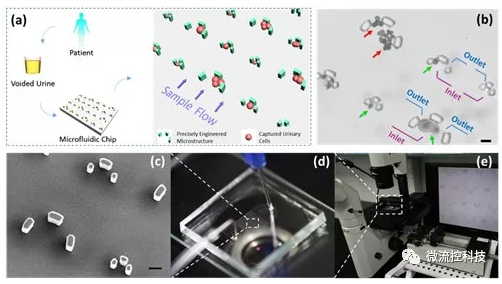 微流控技術(shù)在膀胱癌無創(chuàng)檢測領(lǐng)域取得重要進(jìn)展 微流控技術(shù)在膀胱癌無創(chuàng)檢測領(lǐng)域取得重要進(jìn)展