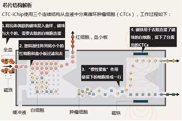 芯片結(jié)構(gòu)解析