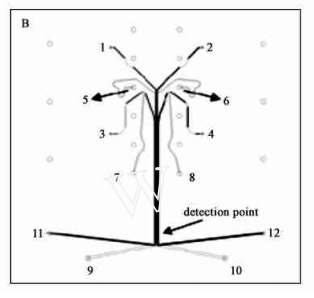 多通道電泳芯片 多通道電泳芯片