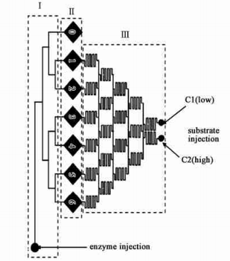 酶活性滴定分析微流控芯片