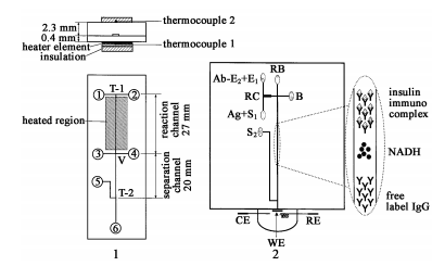 同時(shí)集成柱前和柱后反應(yīng)管道的電泳芯片