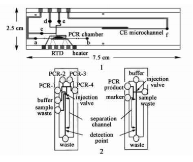 PCR 產(chǎn)物檢測電泳芯片