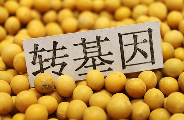 轉(zhuǎn)基因食品圖