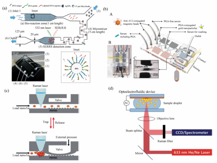 集成DNA競爭取代序列檢測的SERRS微流微系統(tǒng)