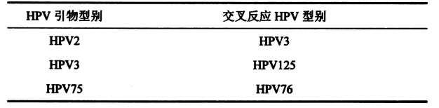 表2皮膚低危型別組內(nèi)出現(xiàn)交叉反應的HPV型別