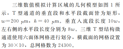 微通道的結(jié)構(gòu)及幾何尺寸