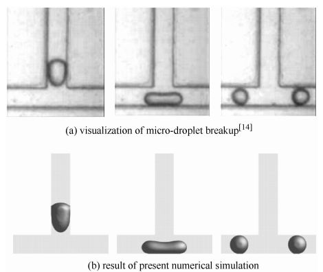 圖2模型有效性驗證