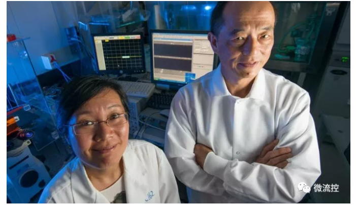 理海大學（Lehigh University）材料科學與工程系助教Xuanhong Cheng（圖左），以及電氣工程與計算機系的教授James Hwang（圖右）