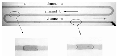 圖6方案1：彈狀流