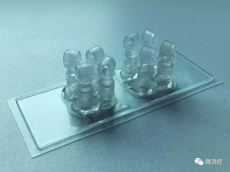 研究和分析胎盤(pán)用的器官芯片