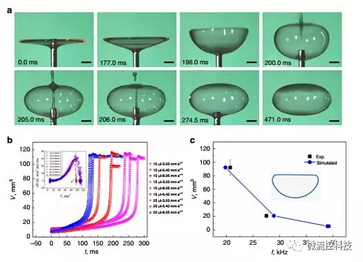氣泡的形成進(jìn)行控制 氣泡的形成進(jìn)行控制