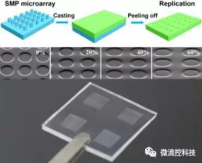 圖2. 采用不同拉伸程度的形狀記憶微柱陣列復制出來的系列連續(xù)形變的PDMS微陣列