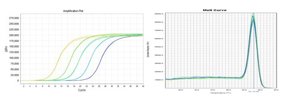 檢測(cè)反應(yīng)體系中熒光的實(shí)時(shí)變化