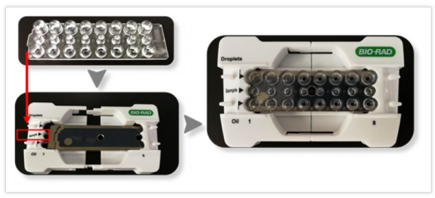 將8孔微滴生成板打開包裝，安裝到支架上，注意微滴生成板的方向與支架上標(biāo)記方向一致