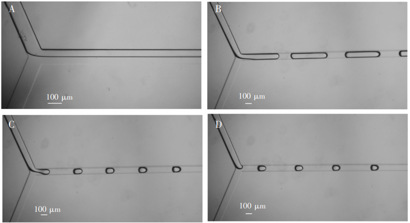 圖3(A)0彎折通道形成兩相流;(B)4彎折通道形成長液柱;(C)8彎折通道，液滴大小接近通道寬度;(D)12彎折通道，液滴大小接近通道寬度，但穩(wěn)定時間較長