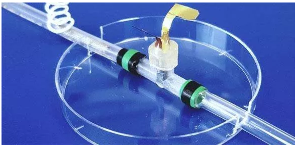 圖片來源：英國劍橋大學(xué)官網(wǎng)