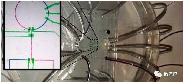 微流體生物芯片可處理微量的流體，經(jīng)常與傳感器和智慧控制演算法等“連網(wǎng)”元素結(jié)合，以提高性能和可靠性，但也因此遭受安全威脅（來(lái)源：NYU)