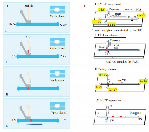 圖7兩種預(yù)濃縮方法。(A)采用氣動閥結(jié)構(gòu)[63]和(B)采用LVSEP及FASI對樣品進行濃