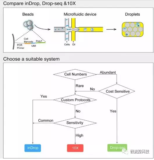實(shí)驗(yàn)流程圖