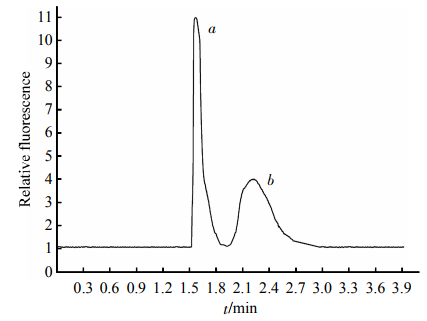 Fig.4EletropherogramofthemixturesofstandardHDLand2滋gHDL3SeparationconditionswerethesameasdescribedinFigure2.