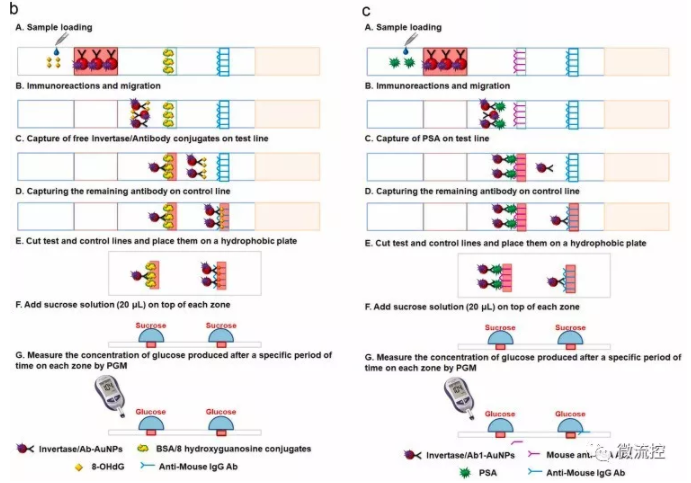“微流控+智能手機(jī)血糖儀” 打造非血糖分子檢測(cè)平臺(tái)，量化評(píng)估DNA過(guò)氧化損傷