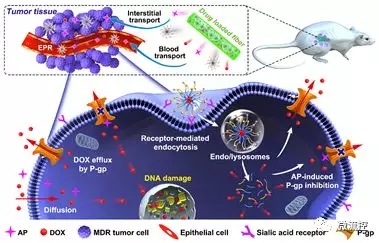 利用微流控技術有效提高腫瘤化療效果