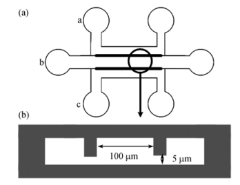 圖1芯片的結(jié)構(gòu)示意圖