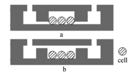 圖3兩種芯片結(jié)構(gòu)示意圖