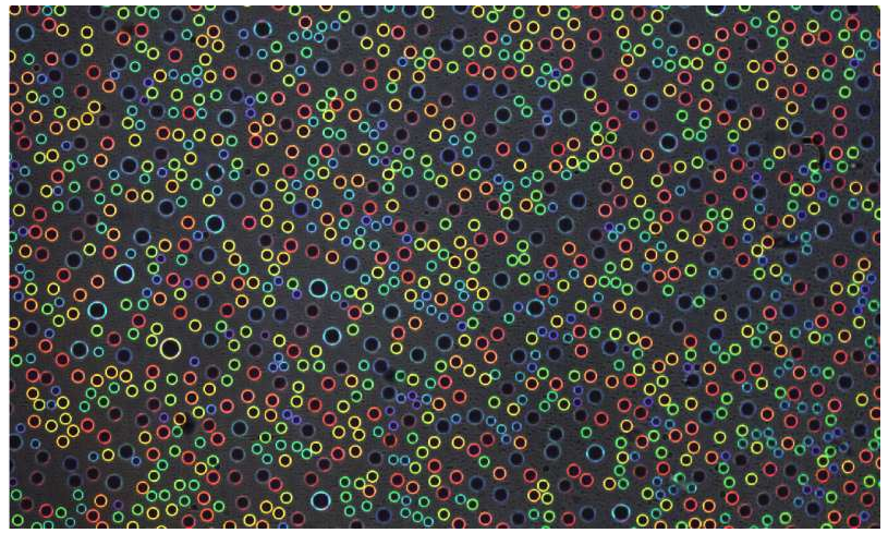 結(jié)構(gòu)顏色來(lái)自清澈的水滴。凝聚在透明塑料片上的微米級(jí)水滴根據(jù)其尺寸反射不同的亮色。圖片來(lái)源：賓夕法尼亞州扎爾扎爾實(shí)驗(yàn)室