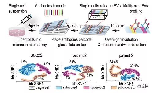 微流控芯片幫助實現(xiàn)單細胞外囊泡多指標檢測