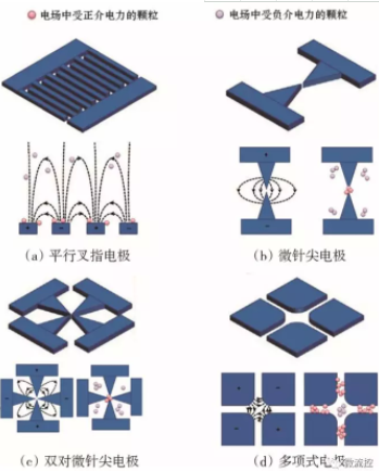 圖5 不同電極結(jié)構(gòu)產(chǎn)生的非均勻電場中受正介電力和負介電力的粒子捕獲示意