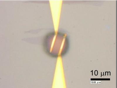 石墨烯和微流控技術(shù)用于細(xì)菌檢測(cè)