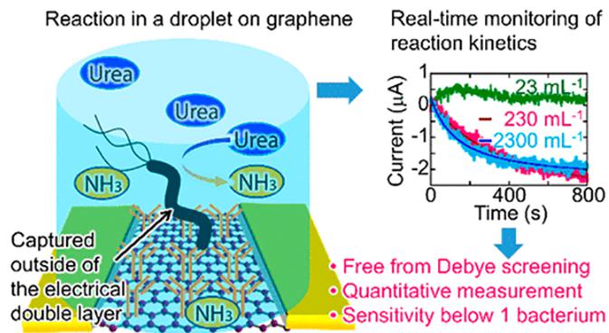 微流控芯片內(nèi)的石墨烯傳感器檢測(cè)微小樣品中的細(xì)菌