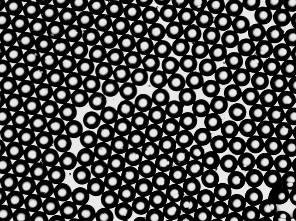 微液滴生成芯片 微液滴生成芯片