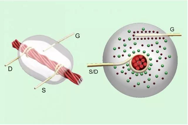 線基晶體管：碳納米管涂覆的亞麻線在源極（S）和漏極（D）金屬線之間攜帶電流，以響應(yīng)柵極（G）檢測(cè)到的電壓。