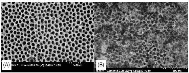 圖2. 陽極氧化微反應(yīng)器的表面形態(tài)：（A）未水熱處理，（B）水熱處理后