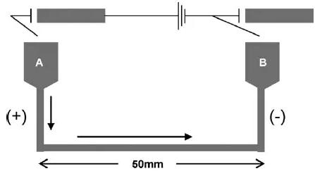 圖13. 用于Suzuki偶聯(lián)反應(yīng)的毛細管微反應(yīng)器的示意圖