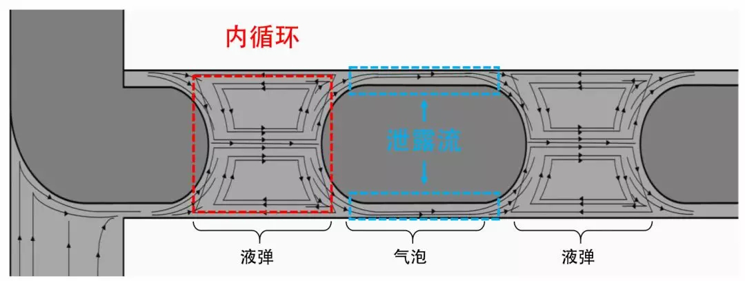 圖4 泄漏流和內(nèi)循環(huán)示意圖