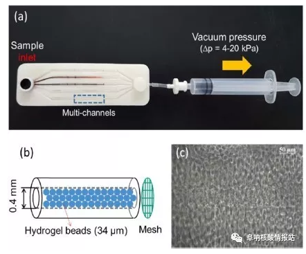 圖1 （a）實驗裝置；（b）微珠填充微通道的示意圖；（c）微珠填充微通道內顯微鏡圖像。