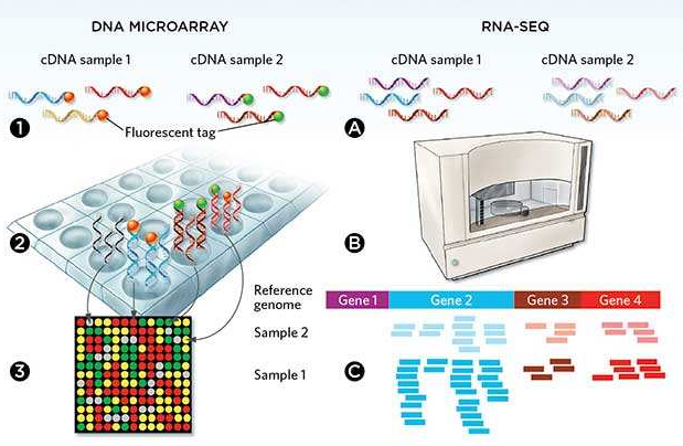 微流控自動(dòng)化技術(shù)革新RNA-Seq文庫(kù)構(gòu)建流程 --- FLUIDIGM發(fā)布更高效、更節(jié)約成本的Advanta RNA-Seq NGS 文庫(kù)構(gòu)建解決方案