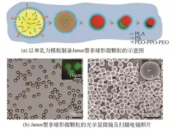 單乳模板法制備Janus型非球形微顆粒